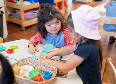 Two girls playing with toys in early childhood setting