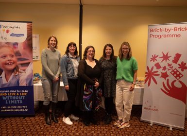 Learning Links Partners With Play Included to Launch Brick-by-Brick® Training Program in Australia